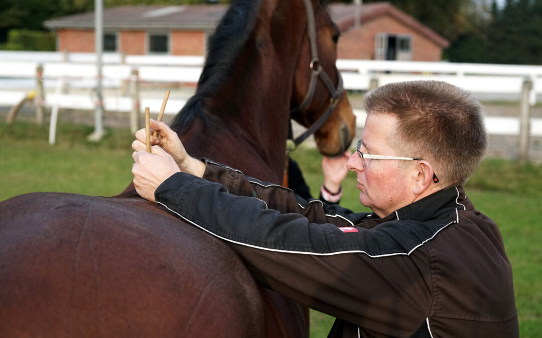 Pferdeosteopathie: Pferdeosteopath Karsten Gemmeker