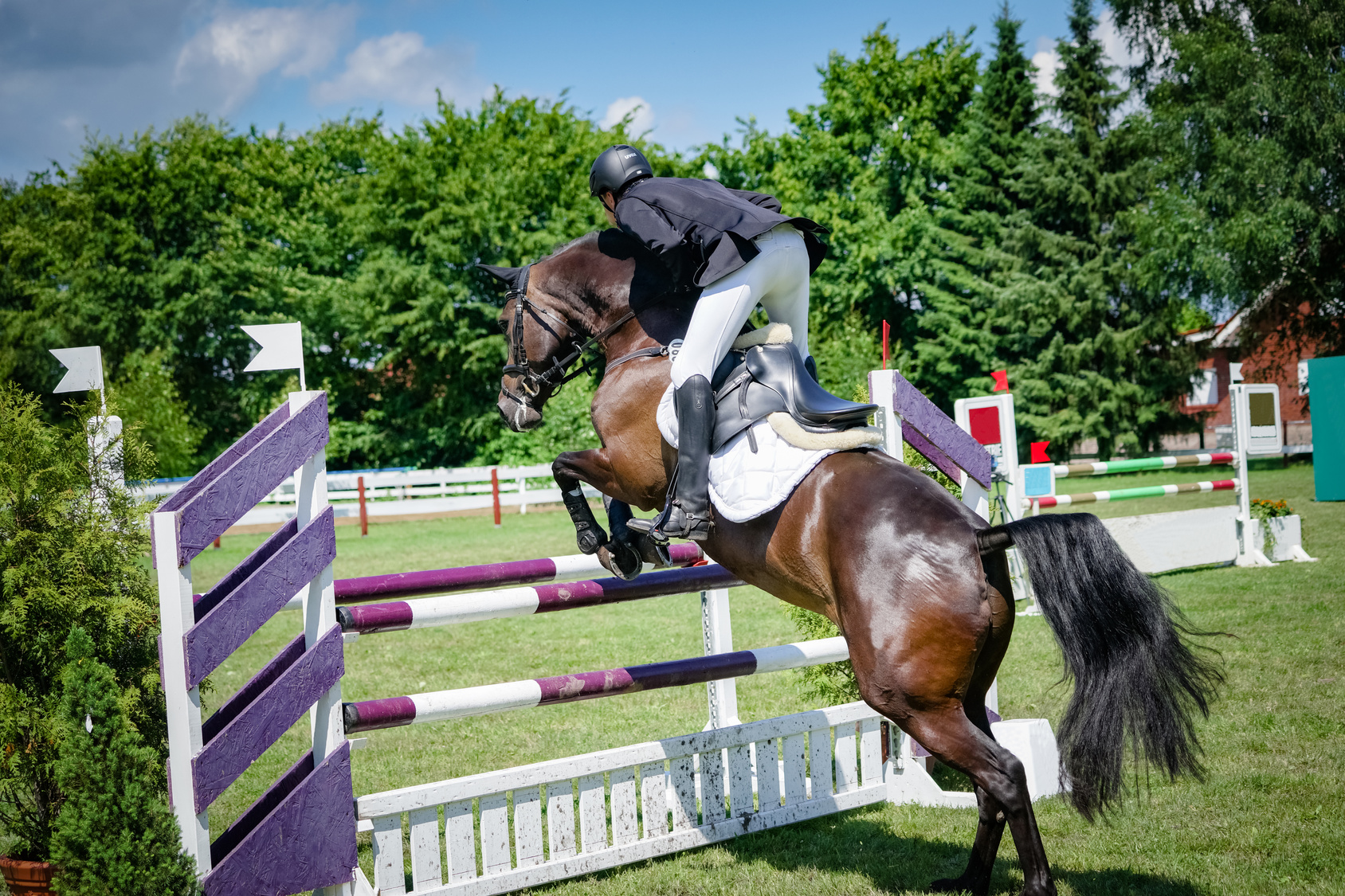 Pferdeosteopathie – Bei welchen Symptomen ergibt diese Sinn?