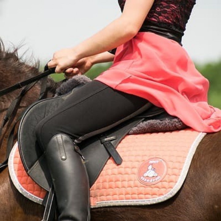 Wie stelle ich den Sattel für das Pferd richtig ein?